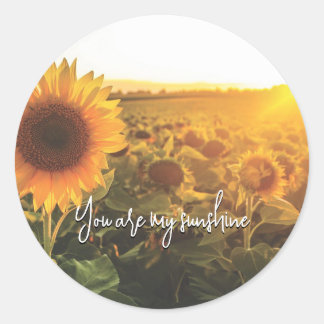 Sunflower Sunshine Classic Round Sticker