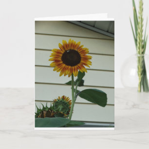 Sunflower Sunshine Day Card