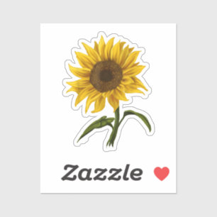 Sunflower Sunshine Floral Watercolor Flower
