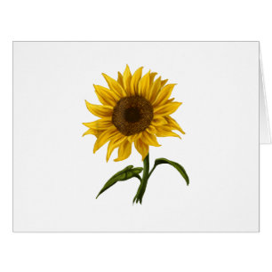 Sunflower Sunshine Floral Watercolor Flower