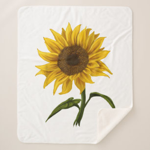 Sunflower Sunshine Floral Watercolor Flower Sherpa Blanket