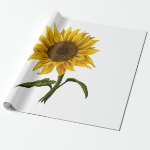 Sunflower Sunshine Floral Watercolor Flower Wrapping Paper
