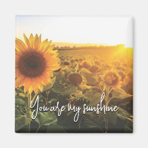 Sunflower Sunshine Magnet