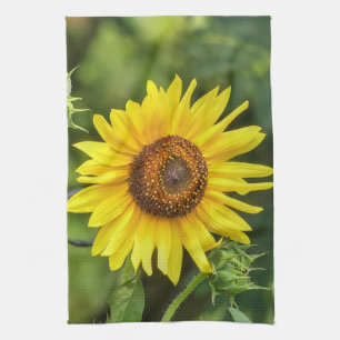 Sunflower  tea towel