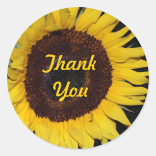 Sunflower, Thank You Classic Round Sticker
