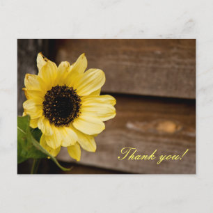Sunflower thank you postcard