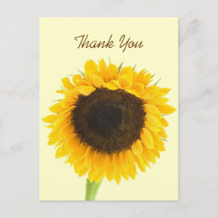 Sunflower Thank You Postcard