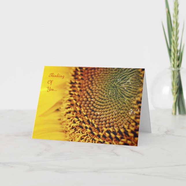 Sunflower - Thinking Of You Card (Front)