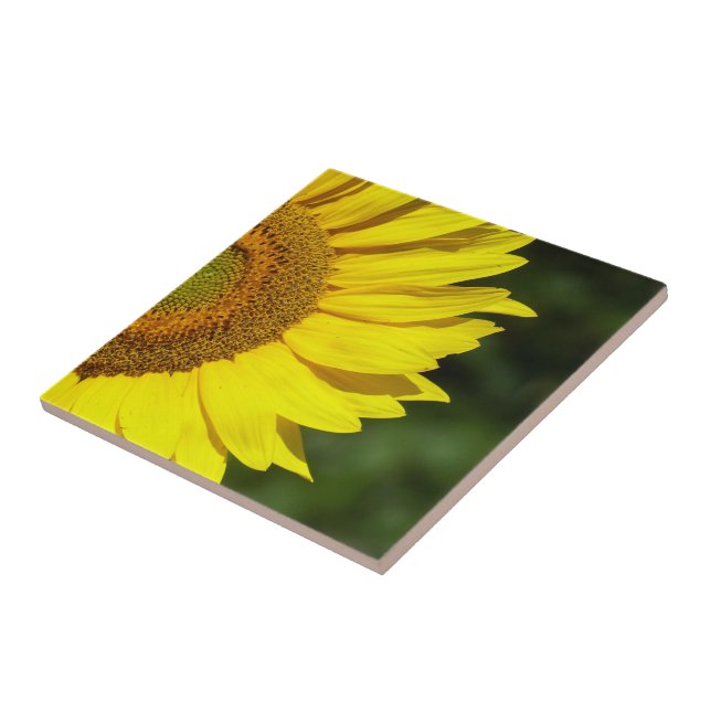 Sunflower Tile (Side)