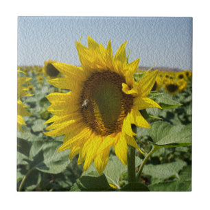 Sunflower Tile