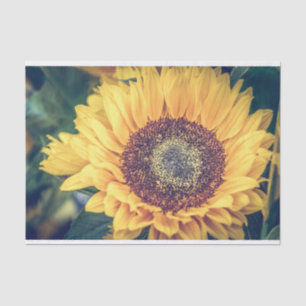 Sunflower Tissue Paper