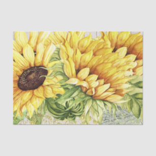 Sunflower Tissue with Wood Image Background Paper