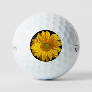 Sunflower tmtp5 gbcnm golf balls