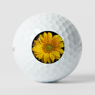Sunflower tpv1 gbcna golf balls