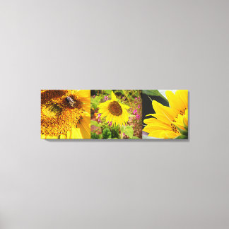 Sunflower Trio Canvas Print
