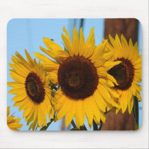 Sunflower Trio Mousepad