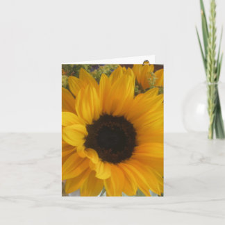 Sunflower Tune Notecard