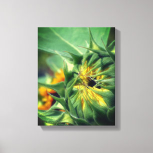 Sunflower Unfolding Floral Canvas Print