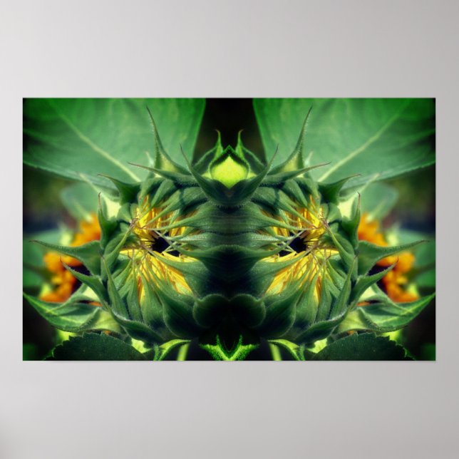Sunflower Unfolding Mirror Abstract Poster (Front)
