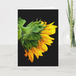 Sunflower Up Close and Personal Thank You Card