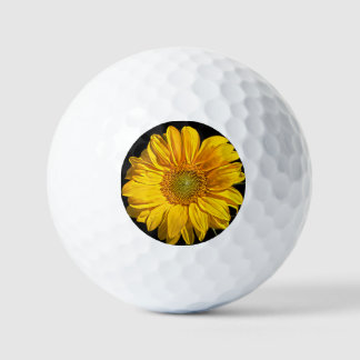 Sunflower va gbcna golf balls
