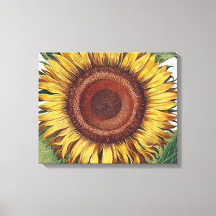 Sunflower Vintage Damask Flower Art Canvas Print
