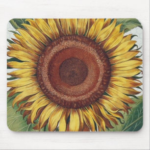 Sunflower Vintage Damask Flower Art Mouse Pad