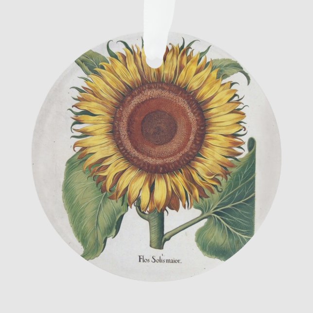 Sunflower Vintage Damask Flower Art Ornament (Front)