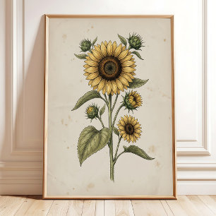 Sunflower Vintage Farmhouse Wall Art