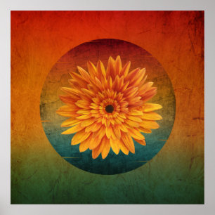 sunflower vintage floral   poster