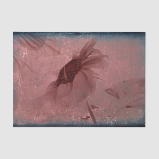 Sunflower Vintage Pink Antique Texture Tissue Paper (Front)
