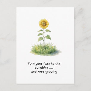 Sunflower Watercolour Illustration Postcard