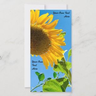 Sunflower wedding invitation 