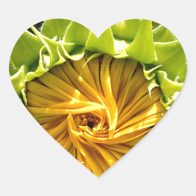 Sunflower Whirl Heart Sticker (Front)