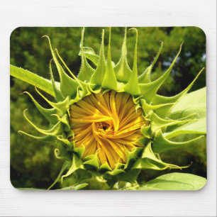 Sunflower Whirl Mouse Pad