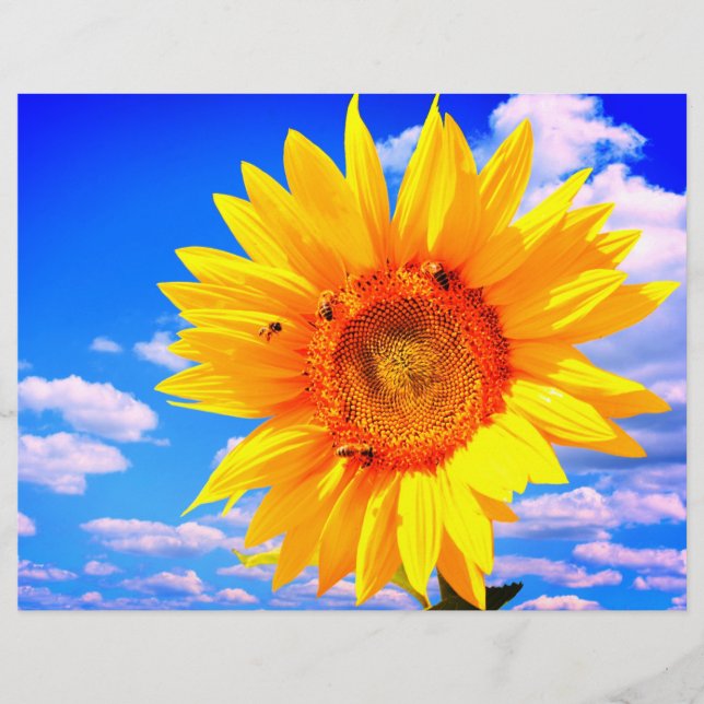 Sunflower with Bees Flyer (Front)