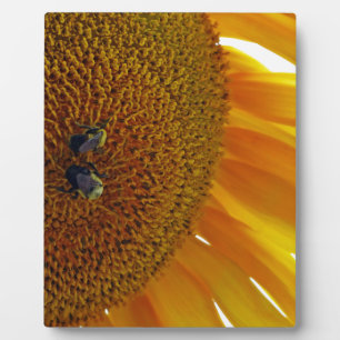 Sunflower with Bumblebees Plaque