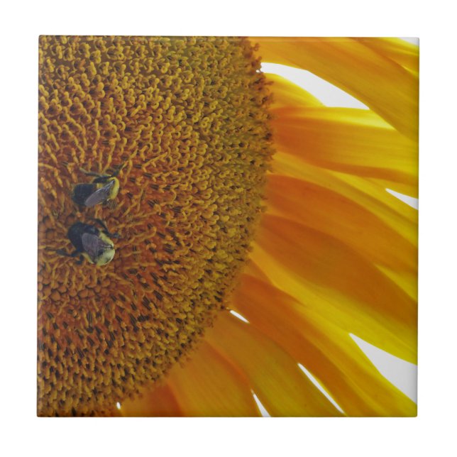 Sunflower with Bumblebees Tile (Front)