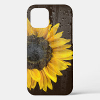 Sunflower with Raindrops on Window