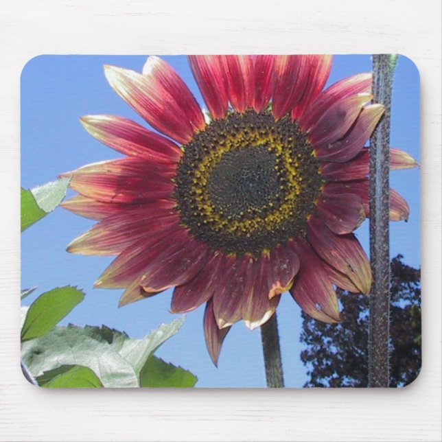 Sunflower with Unique Red Leaves Mouse Pad (Front)