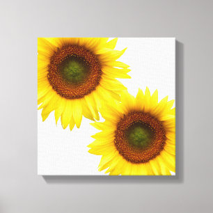 Sunflower Wrapped Canvas Square