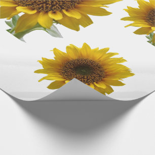 Sunflower Wrapping Paper