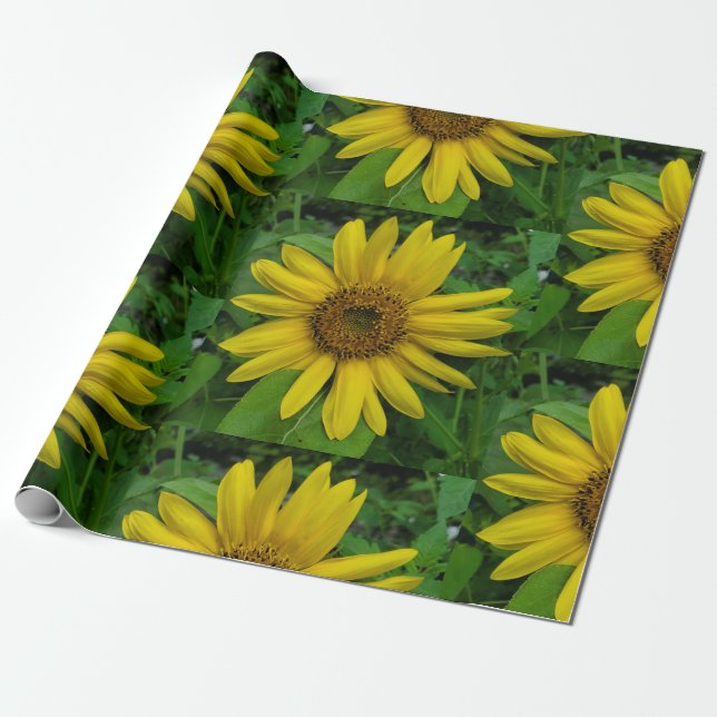 Sunflower Wrapping Paper (Unrolled)