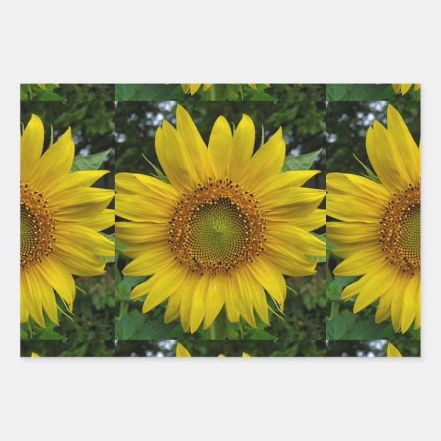 Sunflower Wrapping Paper Sheet (Front)