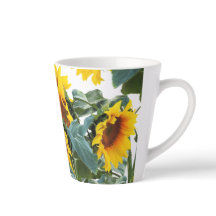 Sunflower Yellow Flower 