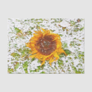 Sunflower Yellow In Winter Snow Decoupage Tissue Paper