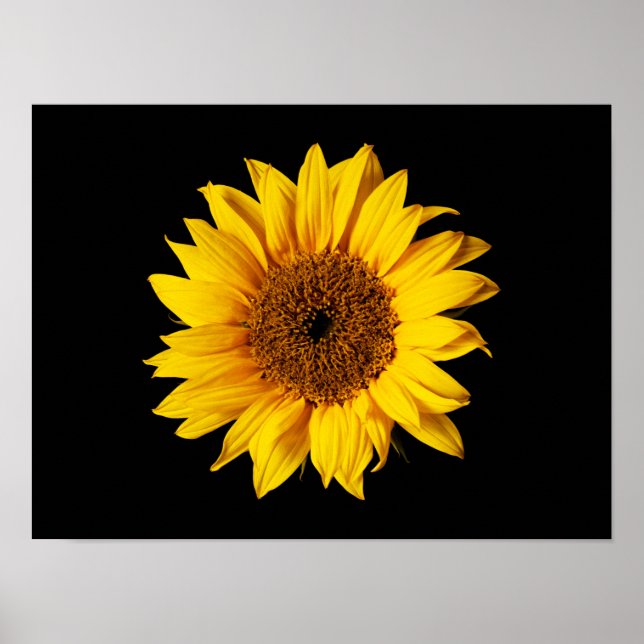 Sunflower Yellow on Black - Customised Sun Flowers Poster (Front)