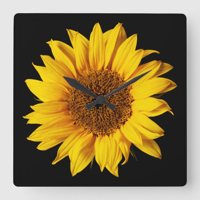 Sunflower Yellow on Black - Customised Sun Flowers Square Wall Clock (Front)