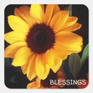 Sunflower yellow summer flower blessings square sticker