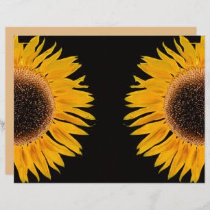 Sunflower Yellow Symmetrical Black Background